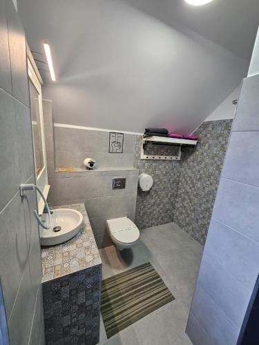 a small bathroom with a toilet and a sink at Pensiunea Casa Dacilor in Podeni