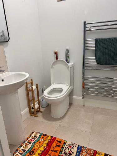 a bathroom with a white toilet and a sink at A cozy room in family house in Dublin