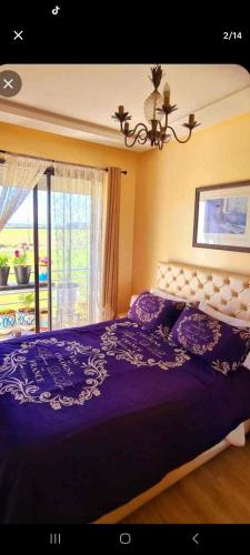 a bedroom with a large purple bed with a window at Mansouria beach resort in Mohammedia