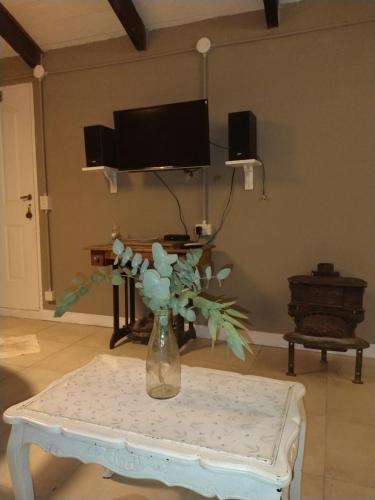 a vase of flowers on a table in a living room at Donde brilla el sol in Dina Huapi