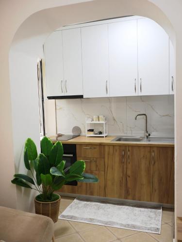 Kuhinja ili čajna kuhinja u objektu Fiora Apartment
