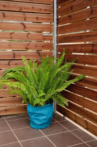 a plant in a blue pot in front of a wooden wall at Petros & Eirini Home in Zarós