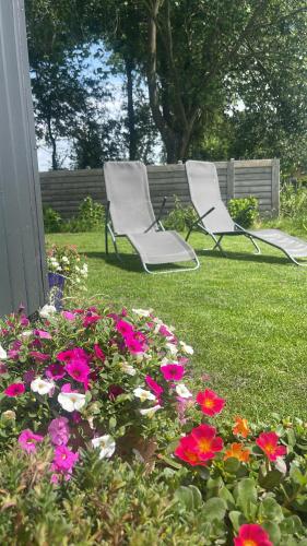 Κήπος έξω από το B&B bij de Roosjes
