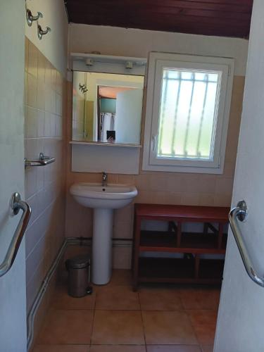 une salle de bain avec un lavabo, un miroir et une fenêtre dans l'établissement Appartement charmant à Saint-Martin-de-Hinx - 64 m² - avec jardin, à Saint-Martin-de-Hinx