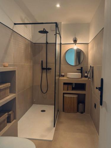 une salle de bain avec douche et lavabo dans l'établissement Charmant studio avec piscine et jardin, à Cannes