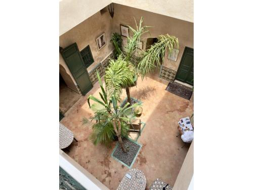 Zahrada ubytování Riad Al Karama
