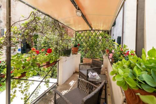 a balcony with a bunch of plants and flowers at Cà Beatrice in Venice
