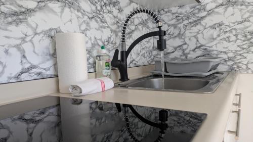 Una cocina con un fregadero y una encimera con un rollo de toallas de papel. en T1 bis avec parking à 10 min à pied du centre, en Vannes