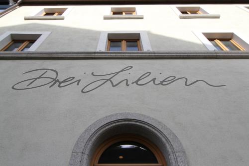 Φωτογραφία από το άλμπουμ του Hotel Drei Lilien σε Vohenstrauss