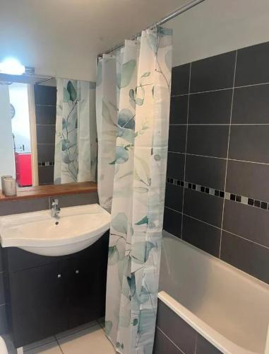 une salle de bain avec un lavabo et un rideau de douche dans l'établissement Appartement charmant à Hendaye, 41 m², proche plage, à Hendaye