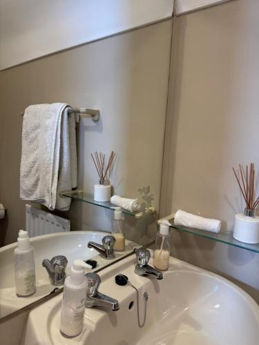 a bathroom with a sink and a mirror at Old Schoolhouse B and B in Enniskillen