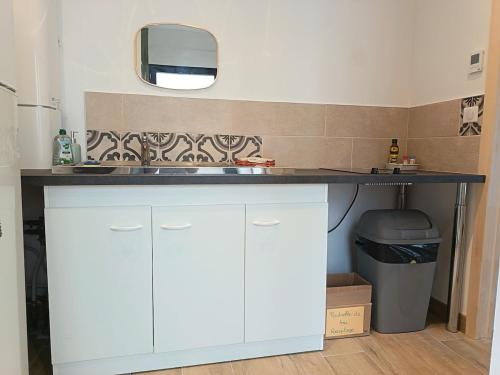 a bathroom counter with a sink and a mirror at Maisonnette bois in Longuenesse