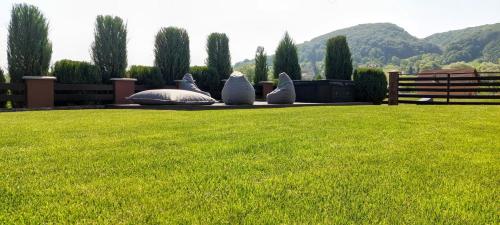 two pillows sitting on the grass in a field at Vila Veve in Sighişoara