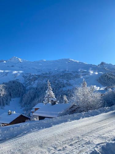 Appartement de luxe neuf 6 personnes de 75 m2 à Méribel Mottaret