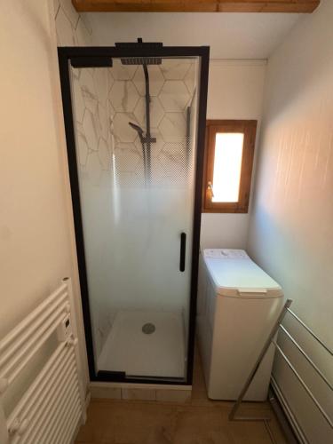 La salle de bains est pourvue d'une porte de douche en verre à côté des toilettes. dans l'établissement Chalet Familial au bord du lac, à Doussard