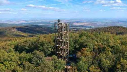 an observation tower in the middle of a forest at Chata Buková 