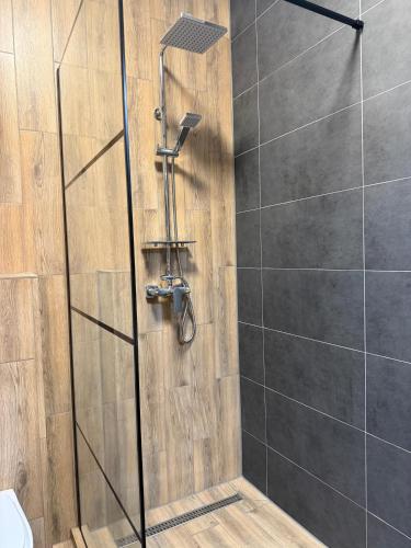 a shower with a glass door in a bathroom at Chic Apartments - City Center - Free Wifi AC in Carei