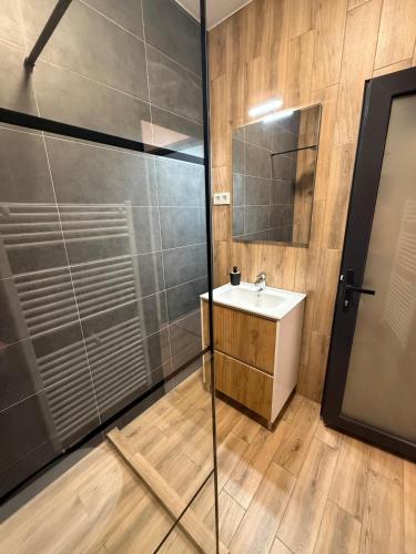 a bathroom with a sink and a shower at Chic Apartments - City Center - Free Wifi AC in Carei