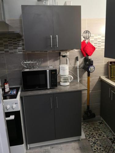 une cuisine avec un four micro-ondes au-dessus d'un comptoir dans l'établissement joli sudio clim centre ville, à Avignon