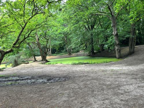 a park with a green field and trees at La Gaffe - Bed and Breakfast in London