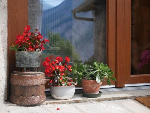 three potted plants sitting in front of a window at Villard Guesthouse in Oulx