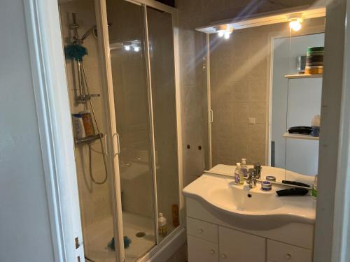 une salle de bain avec une douche, un lavabo et des toilettes dans l'établissement Maison E piscine vélodrome, à Marseille
