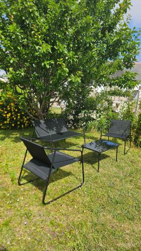 trois bancs noirs assis dans l'herbe près d'un arbre dans l'établissement Grande maison billard et confort a Guingamp, à Guingamp
