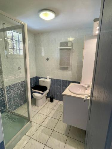 une salle de bain avec toilettes, lavabo et douche dans l'établissement Appartement avec piscine, à Réauville