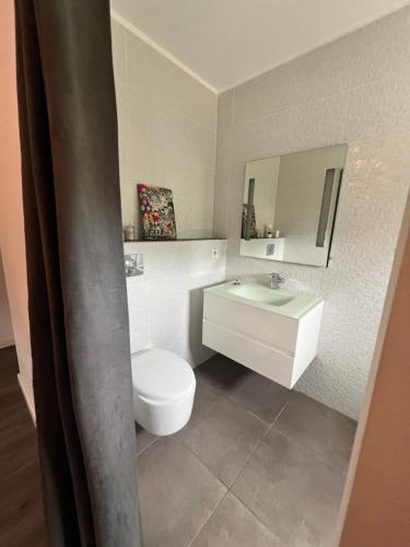 une salle de bain avec des toilettes blanches et un lavabo dans l'établissement Charmant T2 en bas de villa avec jardin, à Ajaccio