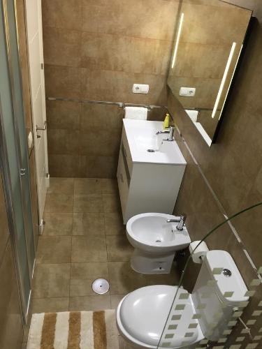 a bathroom with a sink and a toilet and a mirror at Apartamento La Ronda in Jerez de la Frontera