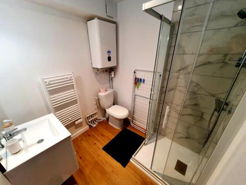 une salle de bain avec une douche, des toilettes et un lavabo dans l'établissement MOLENE I Studio Neuf I Parking Gratuit I Proche Mer I Wifi haut débit, à Saint-Brieuc