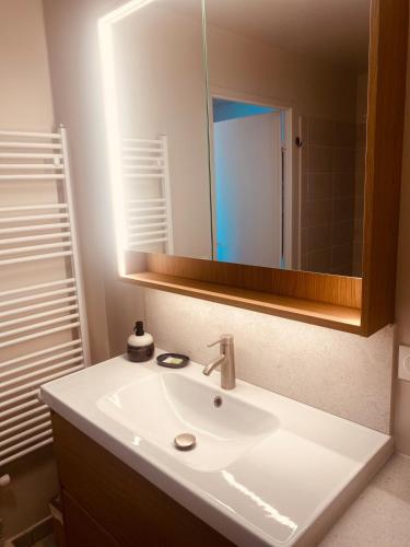 une salle de bain avec un lavabo blanc et un miroir dans l'établissement Camiers, Dune 105, à Camiers