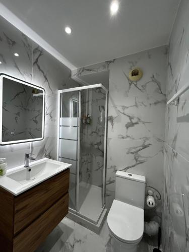 une salle de bain avec une douche, des toilettes et un lavabo dans l'établissement Studio bord de plage à Nice, à Nice
