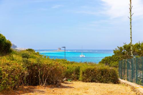 Gallery image of Turtle House in Stintino