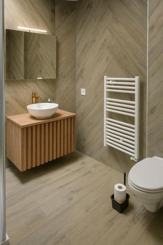 une salle de bain avec un lavabo et des toilettes dans l'établissement Le Ptit Troyen - Hyper Centre, à Troyes