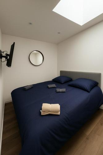 une chambre avec un lit bleu avec des oreillers bleus dans l'établissement Le Ptit Troyen - Hyper Centre, à Troyes