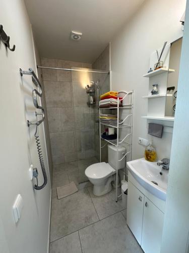 een badkamer met een douche, een toilet en een wastafel bij Family Studio VAIVORYKSTE in Palanga