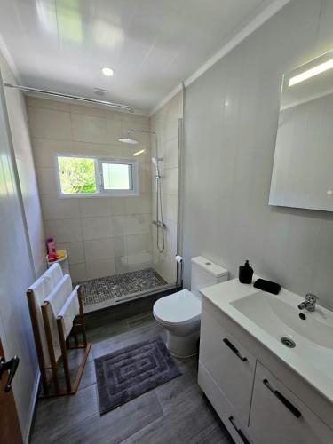 a bathroom with a toilet and a shower and a sink at Encanto das Caldeiras in Furnas