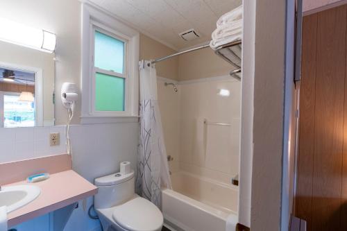a bathroom with a toilet and a sink and a shower at Mount Coolidge Motel in Lincoln