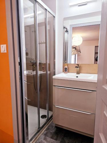 une salle de bain avec un lavabo et une douche dans l'établissement t2 hardy, à Millau