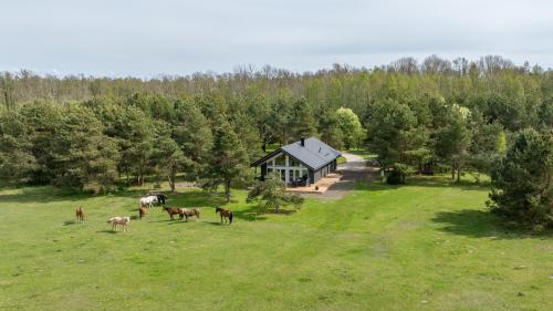 a group of horses grazing in a field in front of a house at Jasmin Holiday House Kassaris 
