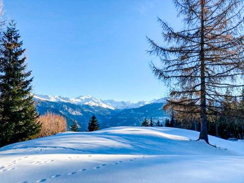 a snow covered slope with a tree and mountains at Chalet Les Bardeaux in Randogne