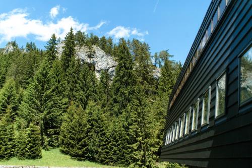 a view of a forest from a train window at Wellness Hotel Repiska in Demanovska Dolina