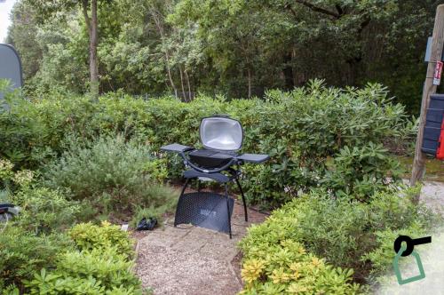 a chair sitting in the middle of a garden at HOTIDAY Lodge Castiglione in Castiglione della Pescaia