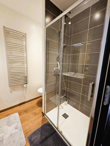 La salle de bains est pourvue d'une douche en verre et de toilettes. dans l'établissement 3 Liberte - 2nd, à Saint-Affrique