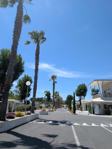 une rue vide avec des palmiers et un bâtiment dans l'établissement Mobile-home, terrasse, pour 6 à 8p, Camping domaine de la Yole 5 étoiles, à Vendres