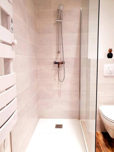 une douche avec une porte vitrée dans une salle de bain dans l'établissement 1 Liberte - TRIPLEX, à Saint-Affrique