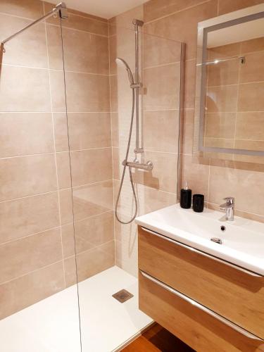 une salle de bain avec douche et lavabo dans l'établissement sadi carnot - 2b duplex, à Millau