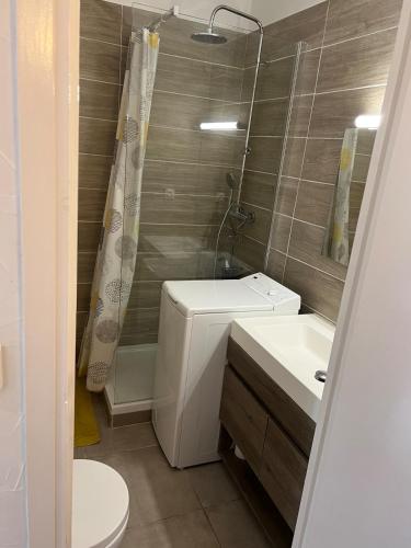 une salle de bain avec toilettes, lavabo et douche dans l'établissement Studio center - close to beaches, à Antibes