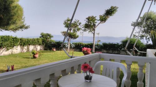 Fotografie z fotogalerie ubytování Posidonia Pension v destinaci Amarinthos